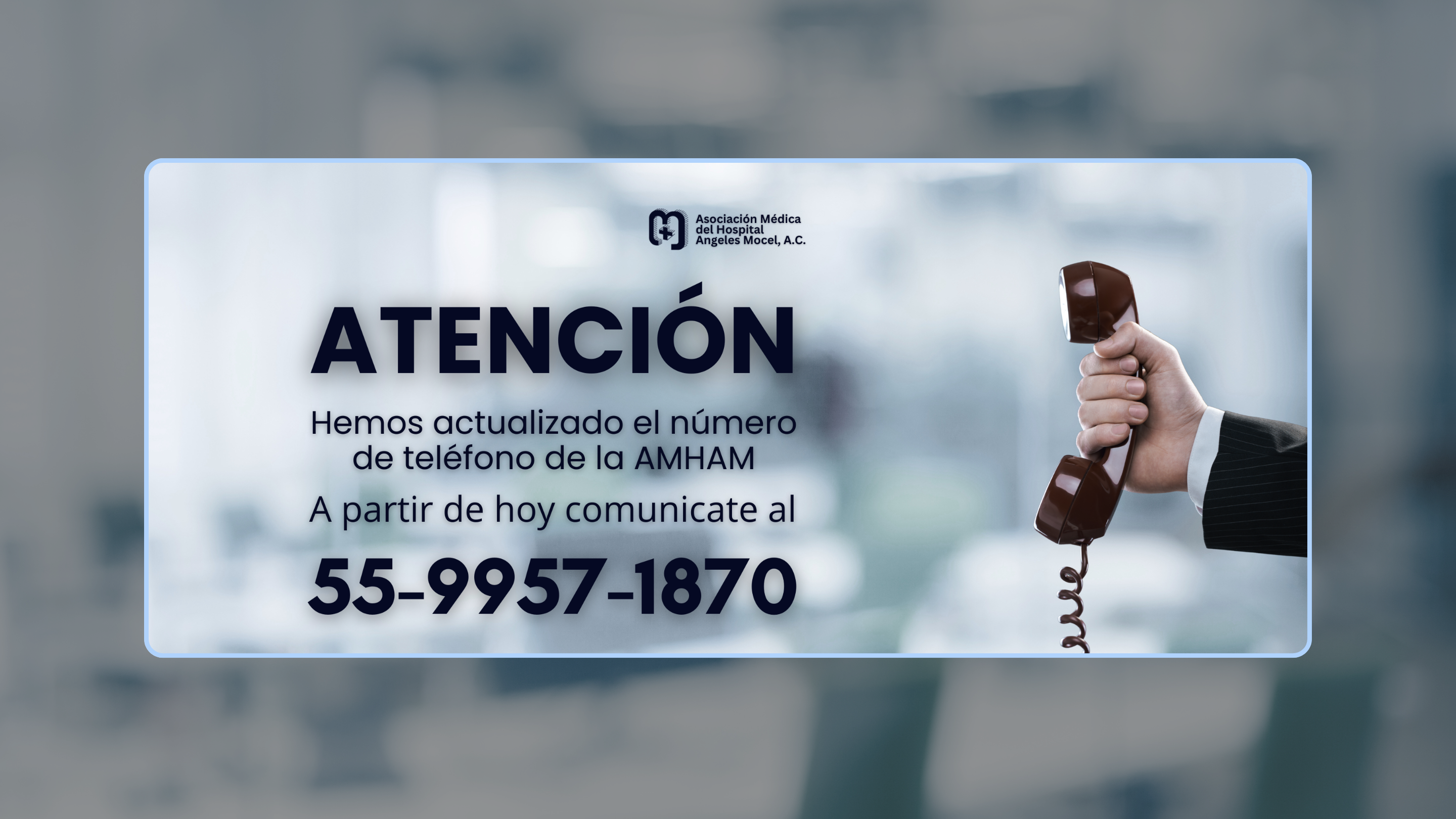 Copia_de_Febrero_AMHAM__Presentaci__n___8_